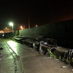 雨の中でナイトアジング