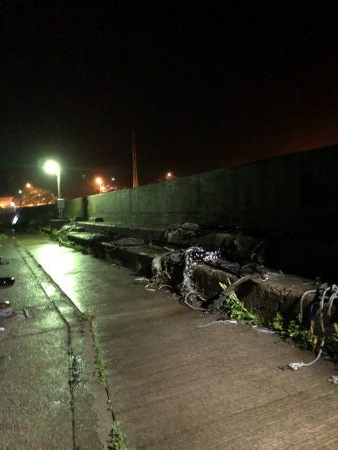 雨の中でナイトアジング