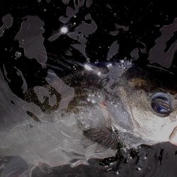 大潮の甲子園浜　６本