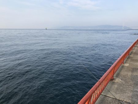 ガシラ入れ食い！