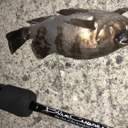 今日も癒しを求めて…