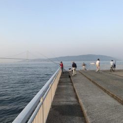 久々の大蔵海岸。