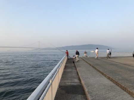 久々の大蔵海岸。