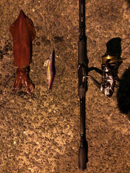 梅雨時期エギング