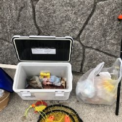 玉には餌でのんびりと