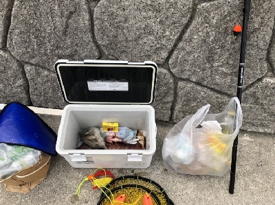 玉には餌でのんびりと