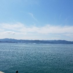 キス釣り　～鰯さん、時合短くね？～