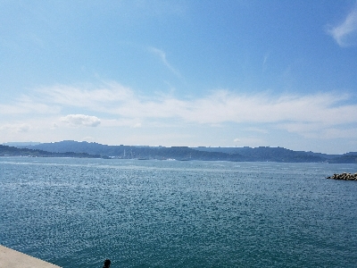 キス釣り　～鰯さん、時合短くね？～