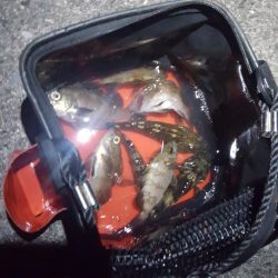 良いサイズが出ない！