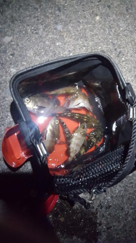 良いサイズが出ない！