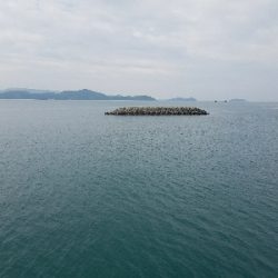 イワシ釣り ~水潮気味だがイイ感じ~