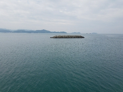 イワシ釣り ~水潮気味だがイイ感じ~