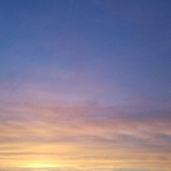 キス釣り　～ヘダイも出た！～