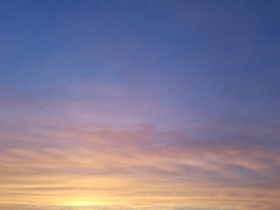 キス釣り　～ヘダイも出た！～