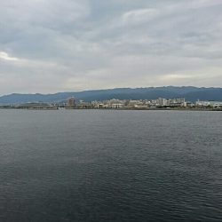 ショアジギシーバス