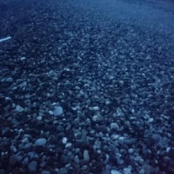 仁淀川河口サーフ春野 ライトショアジギング