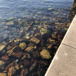 サイズが‥‥‥。