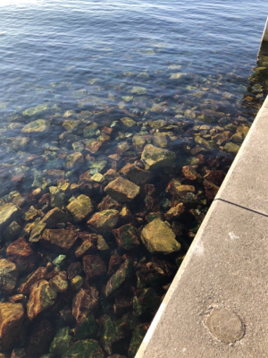 サイズが‥‥‥。