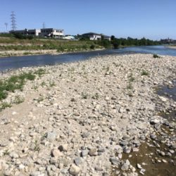 デイナマズフィッシング