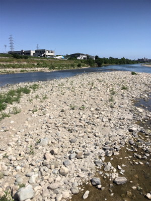 デイナマズフィッシング