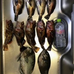 夜釣りでストレス発散