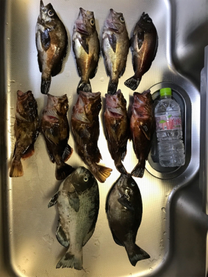 夜釣りでストレス発散