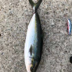 今シーズン初！