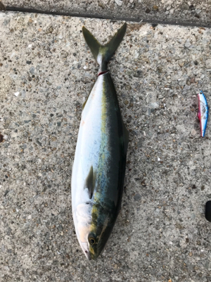 今シーズン初！