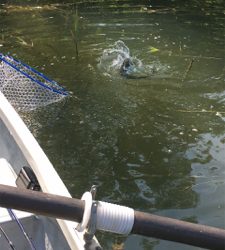 梅雨入り前の晴天釣行