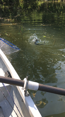 梅雨入り前の晴天釣行