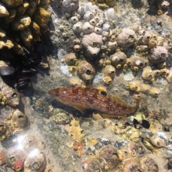 グループ釣行（22時間釣り）