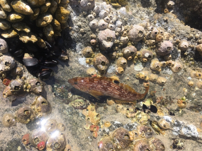 グループ釣行（22時間釣り）