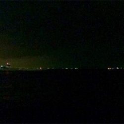 シーバスとメバルの乱舞ブー