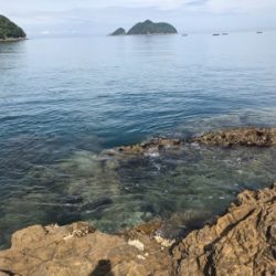 またまたイカを求めて