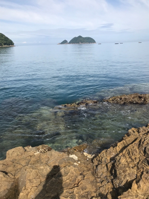 またまたイカを求めて