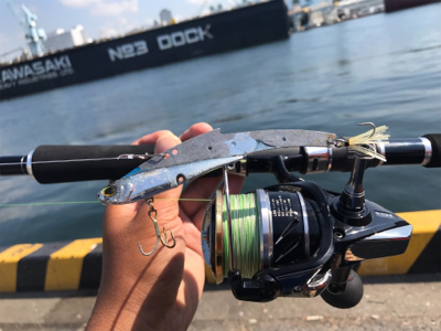 青物釣れないのでシーバス