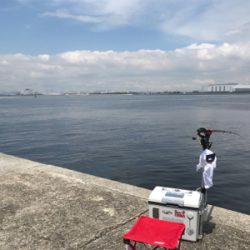 南港 エビ撒き釣行！