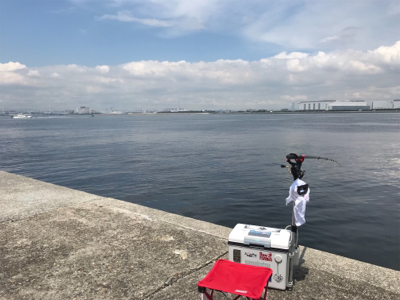 南港 エビ撒き釣行！