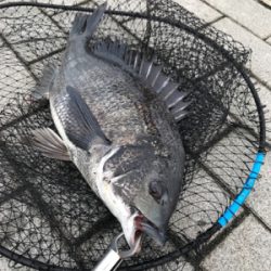 徹夜回避の朝から3本