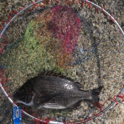 バイトラッシュ！