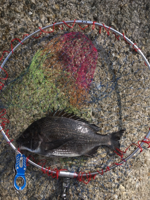 バイトラッシュ！