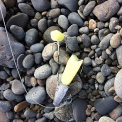 煙樹ヶ浜ショアジギからの穴釣りからのライトゲーム!