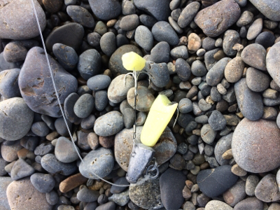 煙樹ヶ浜ショアジギからの穴釣りからのライトゲーム!