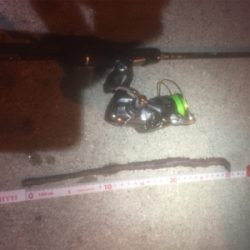 サイトバッチング