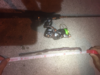 サイトバッチング