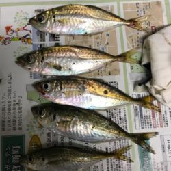 NO.9 夕、夜の部