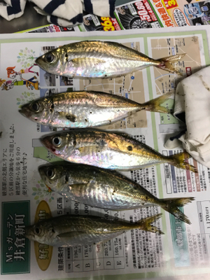 NO.9 夕、夜の部