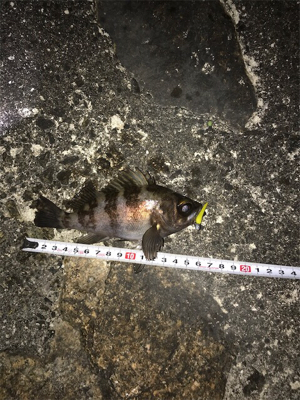 爆風にお手上げ