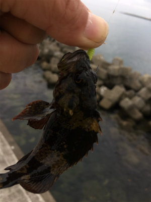 チビガシラ祭り