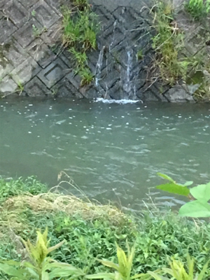 落ちパクでゲット